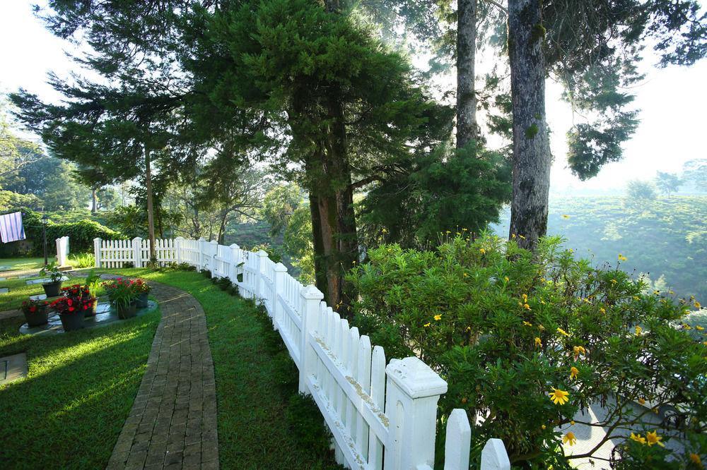 The Firs Βίλα Νουβάρα Ελίγια Εξωτερικό φωτογραφία